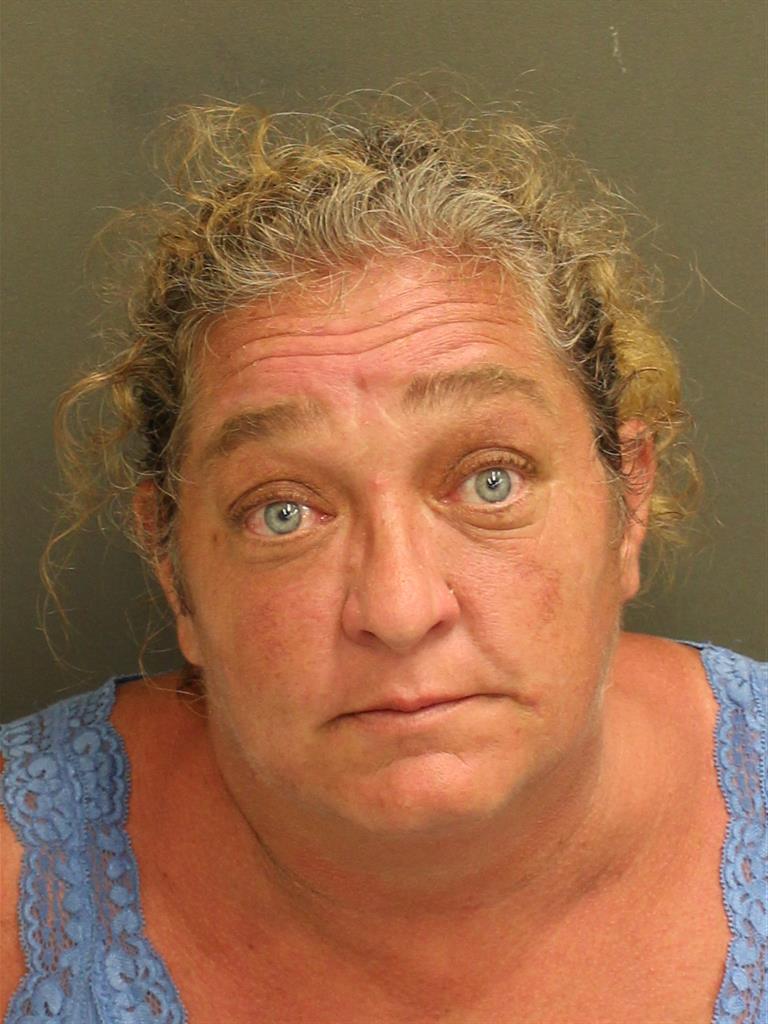  ANN MARIE ANDERSON Mugshot / County Arrests / Orange County Arrests