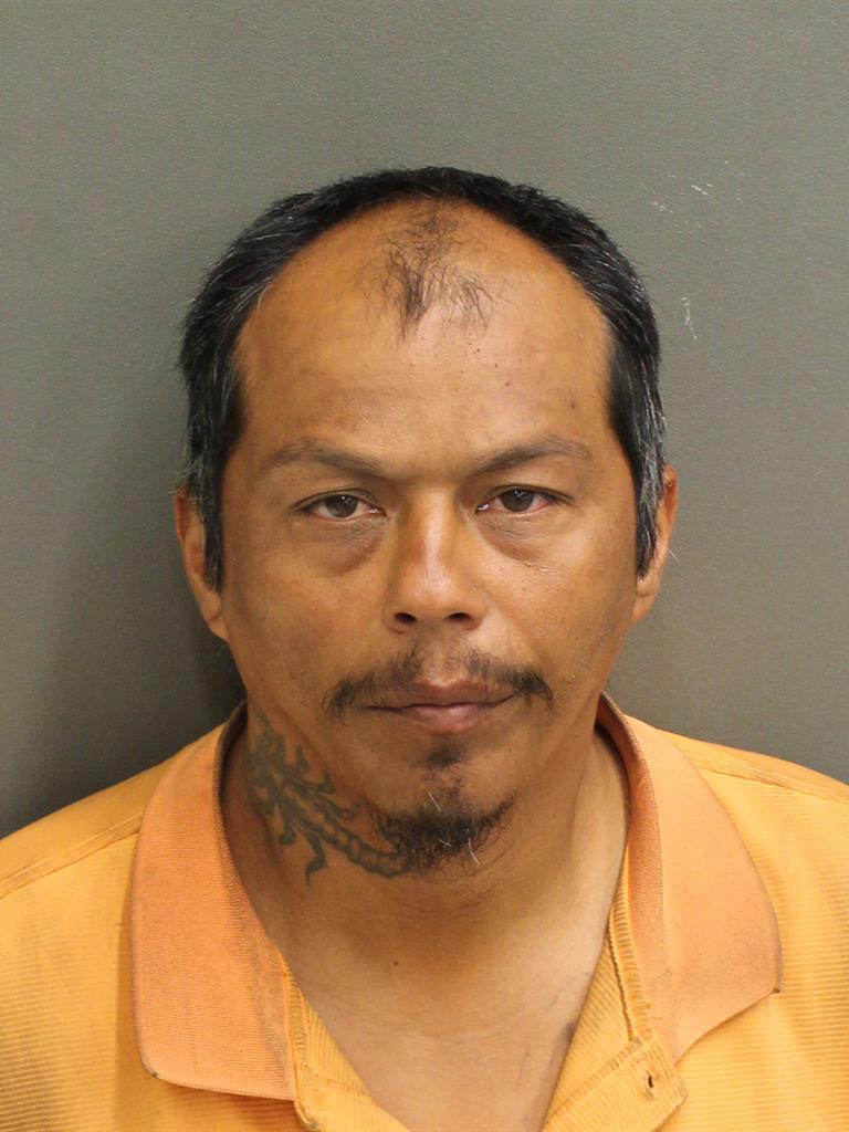  JUAN M DELEON Mugshot / County Arrests / Orange County Arrests