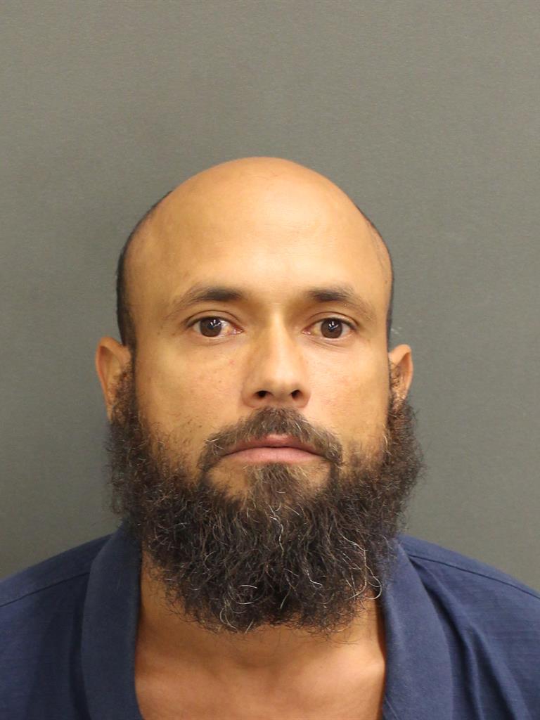  LUIS MANUEL DIAZ Mugshot / County Arrests / Orange County Arrests