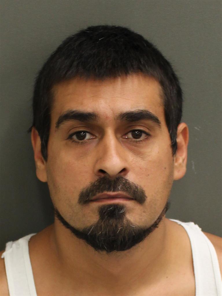  MICHAEL BEDJAN Photo Image