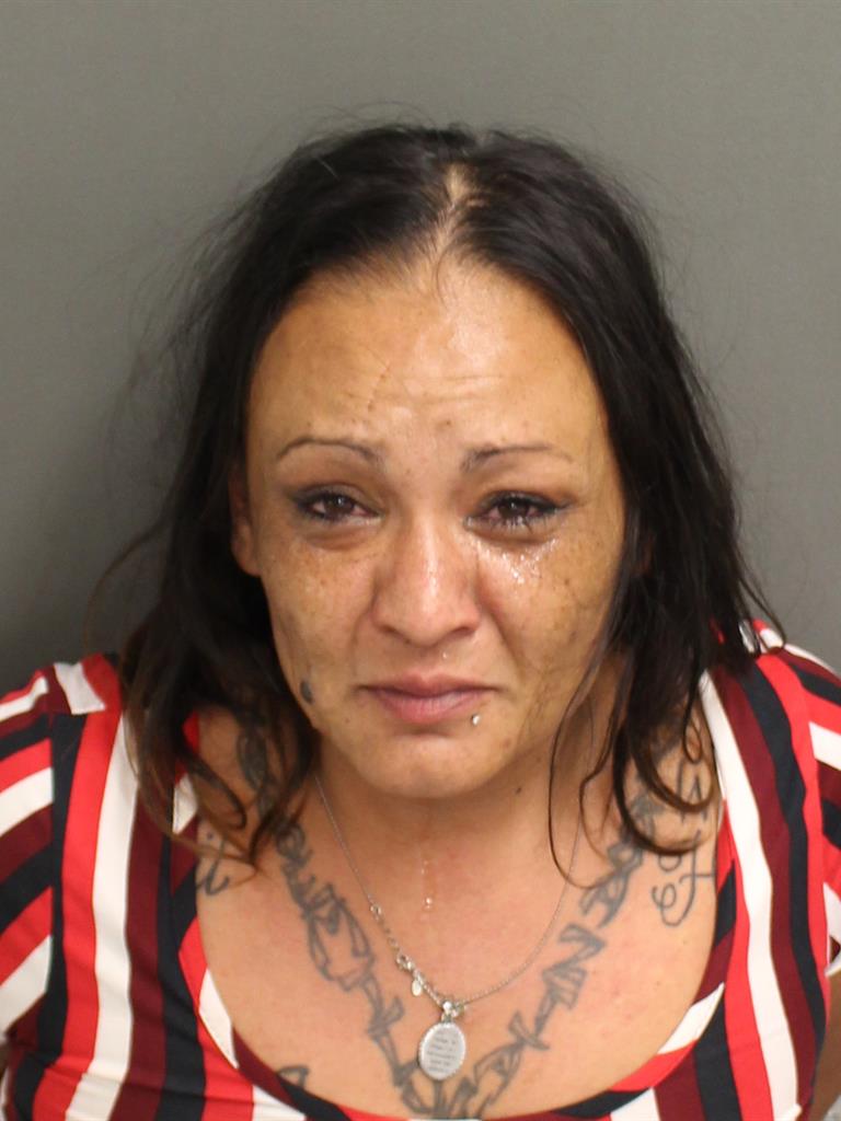  EMILY C SUBERS Mugshot / County Arrests / Orange County Arrests