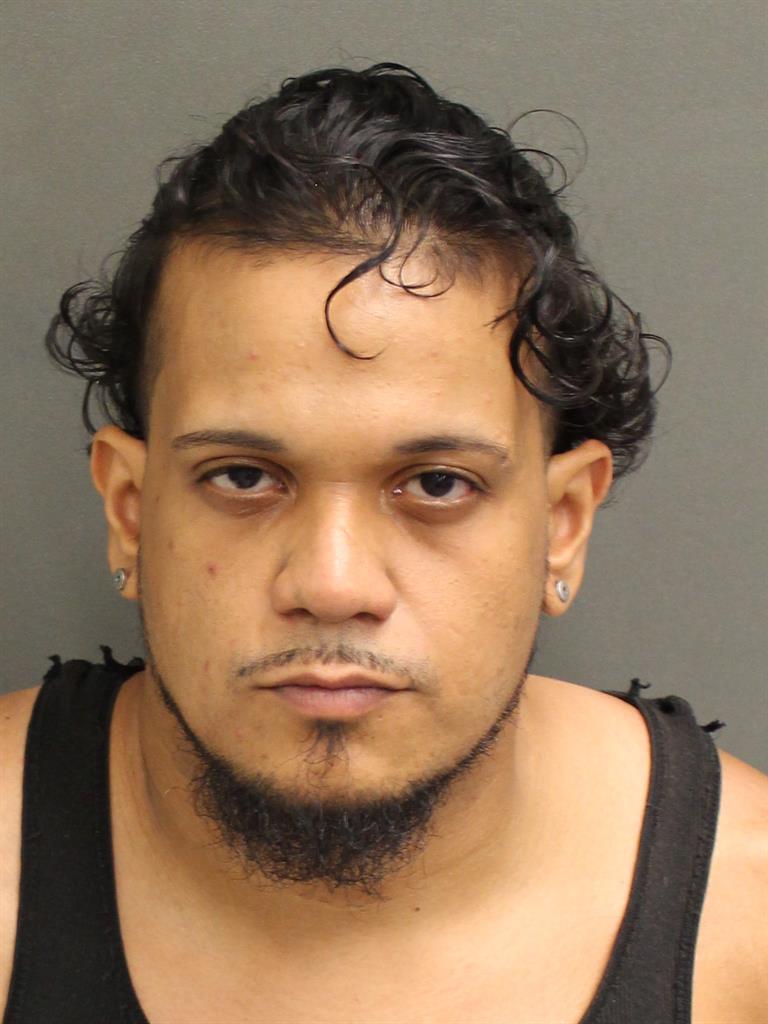  JULIAN ORTIZ ORTIZ Mugshot / County Arrests / Orange County Arrests