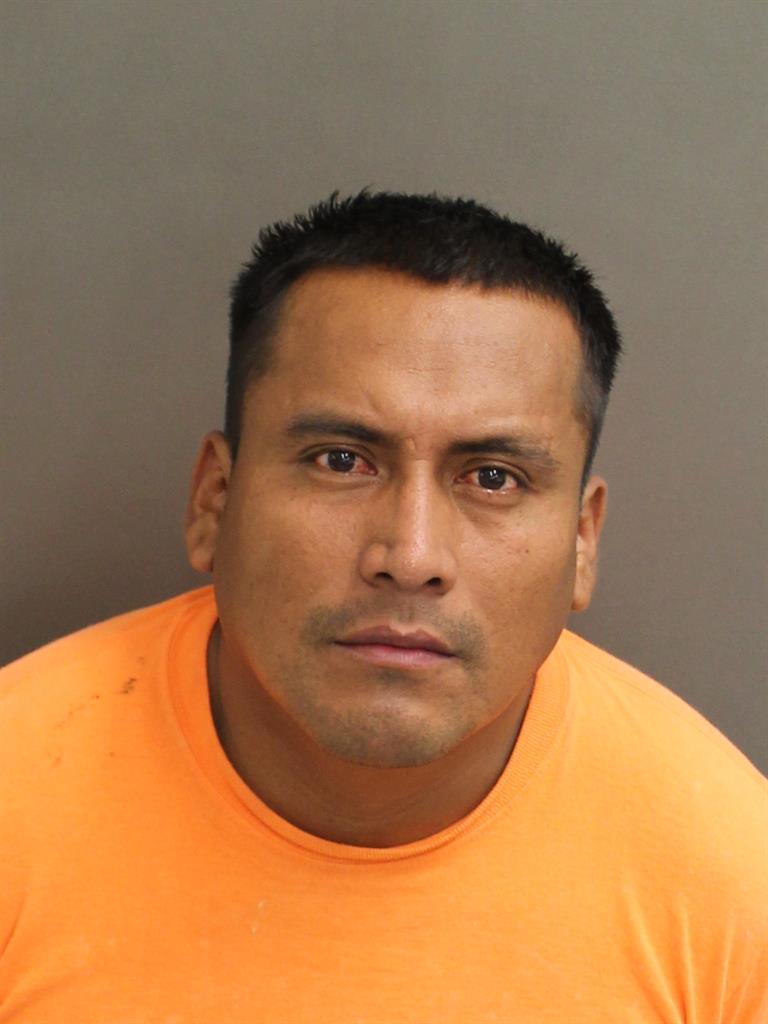  LUCAS Z MISAEL Mugshot / County Arrests / Orange County Arrests