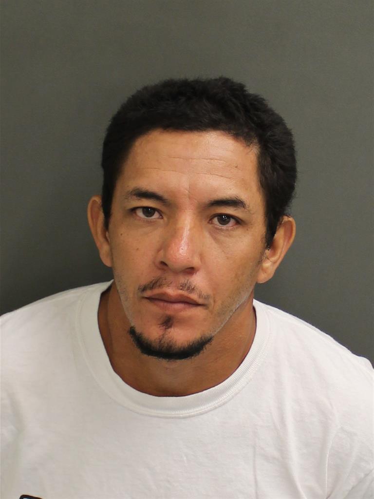  DANY A GODOY Photo Image