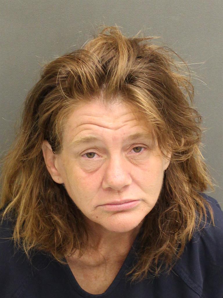 DEANA JO VADNAIS Mugshot / County Arrests / Orange County Arrests