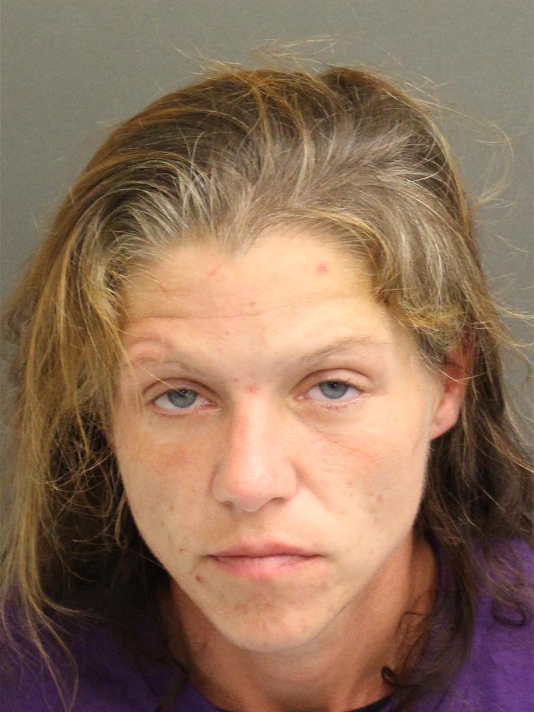  REBECCA RUTH LEWIS Mugshot / County Arrests / Orange County Arrests