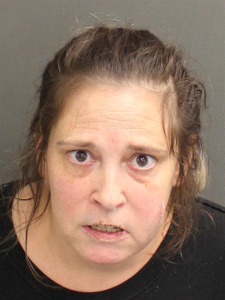  SUSAN ANN NORMAN Mugshot / County Arrests / Orange County Arrests