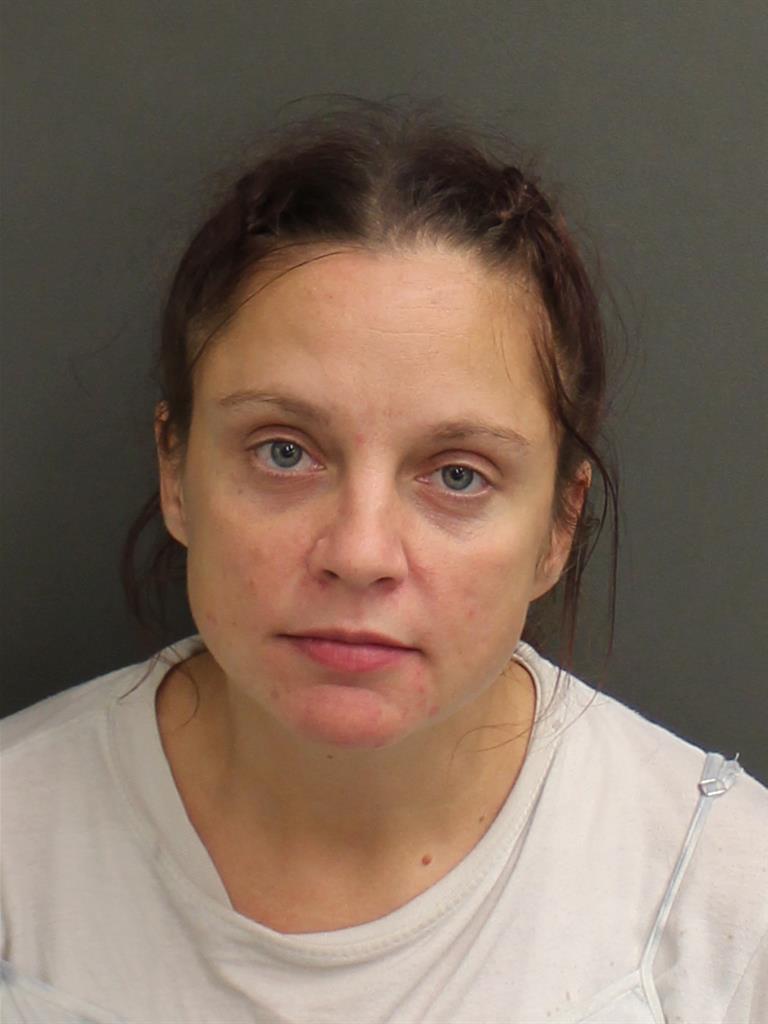  CHRISTINA MARIE HINSON Mugshot / County Arrests / Orange County Arrests