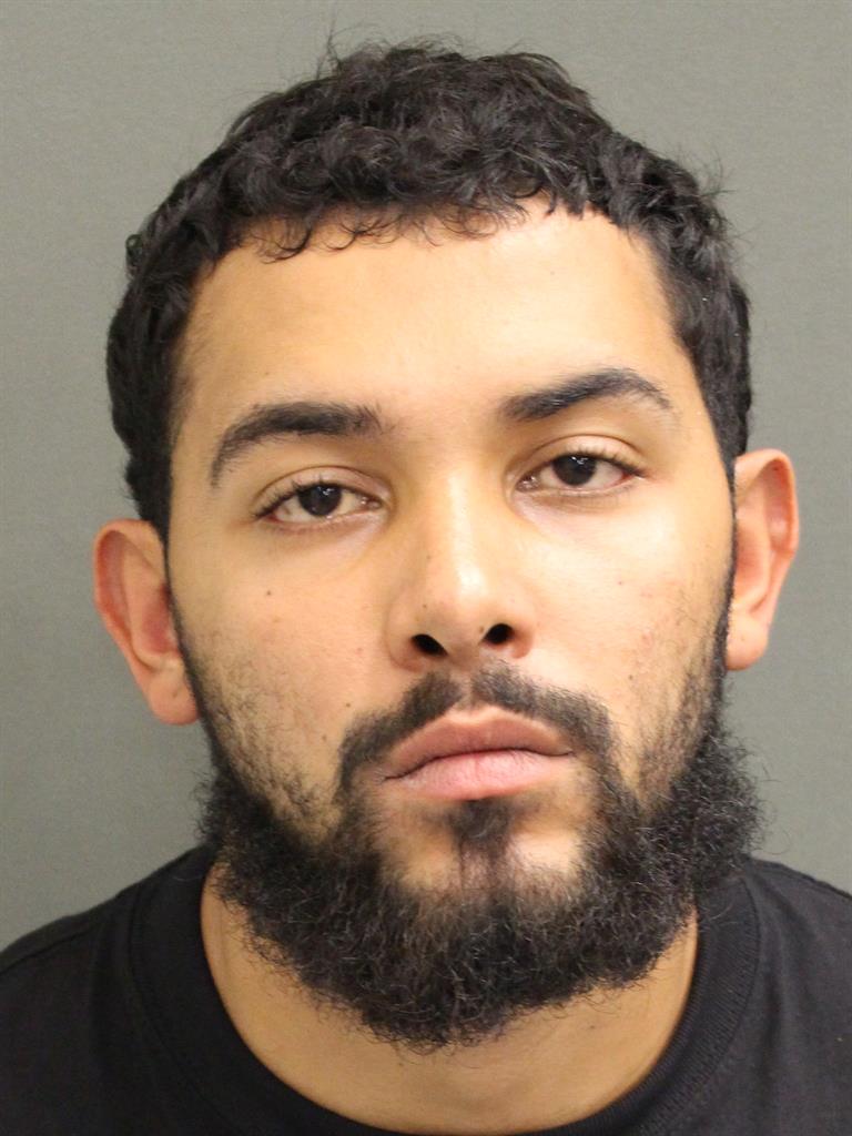  ROBERT AUSTIN IRIZZARYCORTES Mugshot / County Arrests / Orange County Arrests