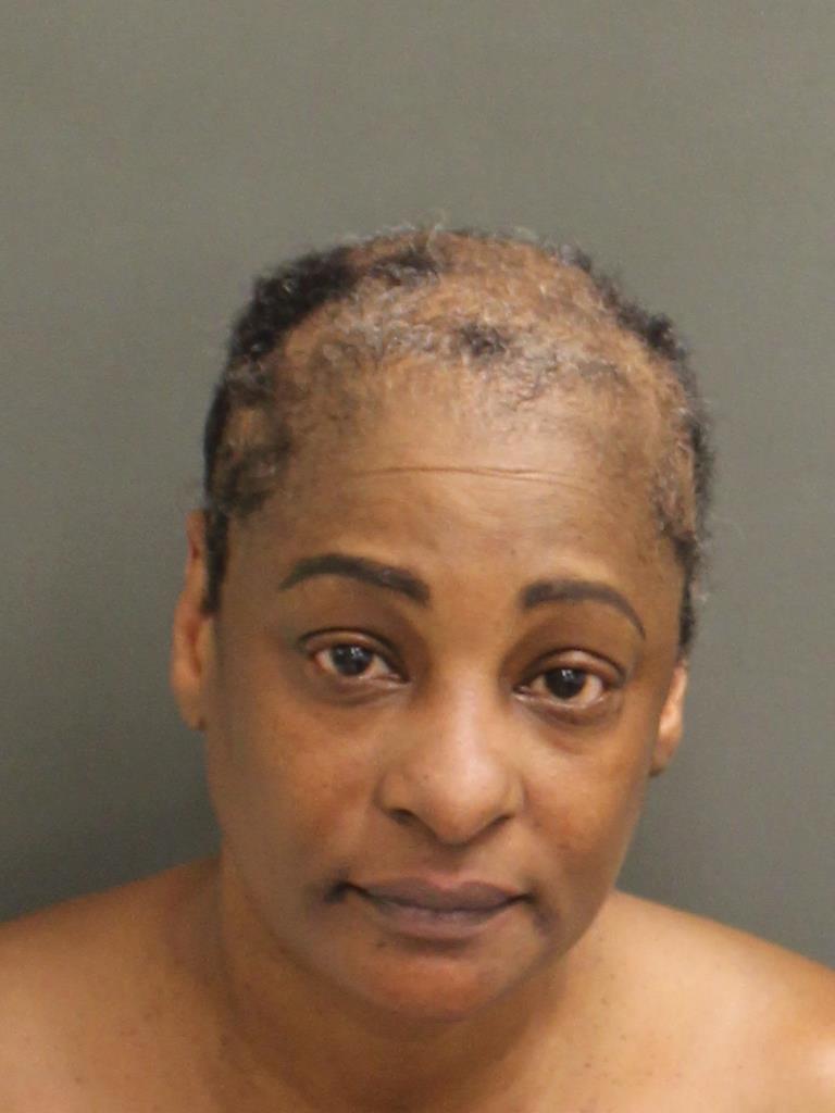  VIRGINA D YAZID Mugshot / County Arrests / Orange County Arrests