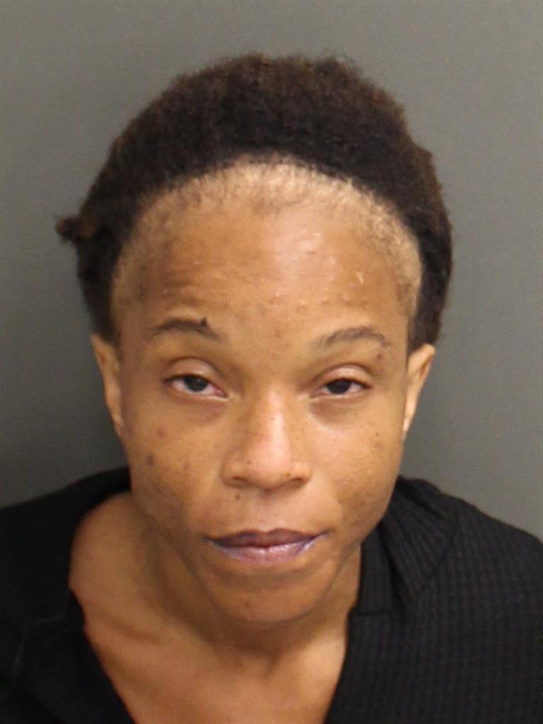  ERICA M MCCLURE Mugshot / County Arrests / Orange County Arrests