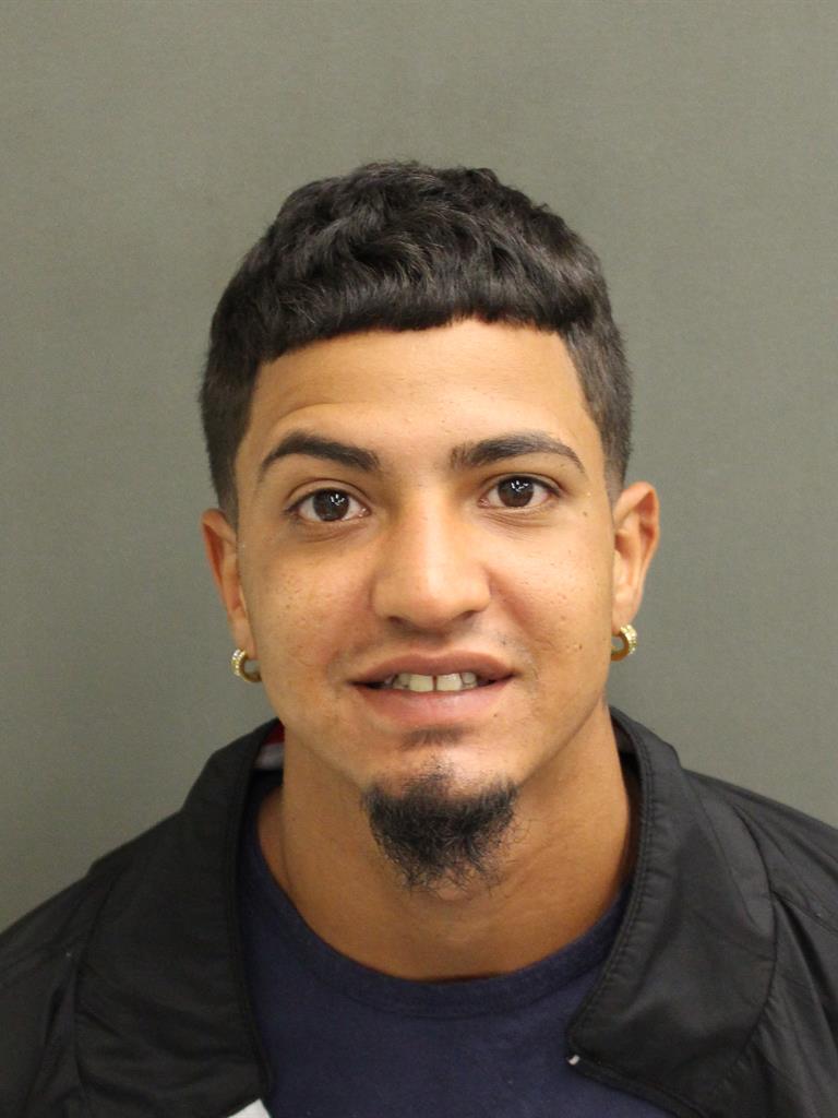 LUIS REYES Mugshot / County Arrests / Orange County Arrests