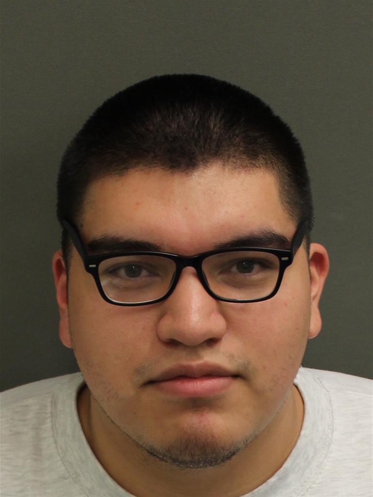  LUIS DOMINGUEZ Mugshot / County Arrests / Orange County Arrests