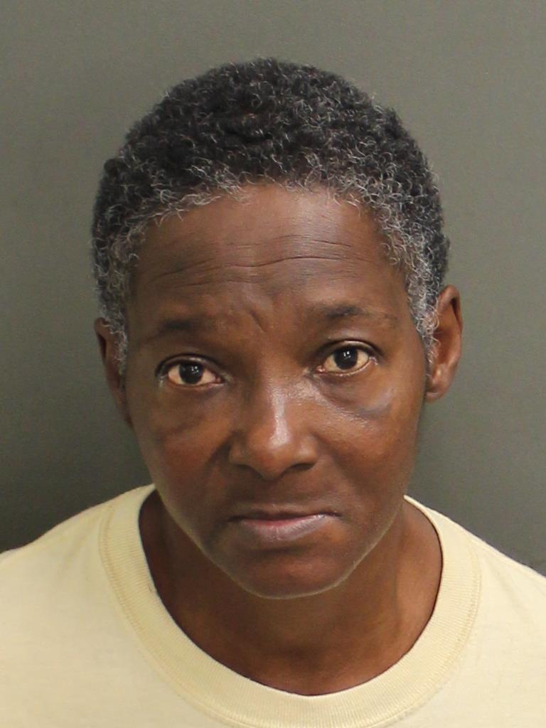  GRETCHEN ANN BRISCOE Mugshot / County Arrests / Orange County Arrests