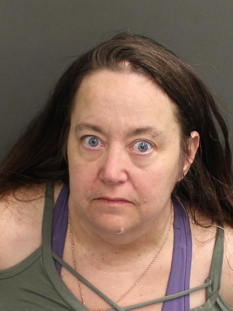  DONNA LYNNE HODGE Mugshot / County Arrests / Orange County Arrests