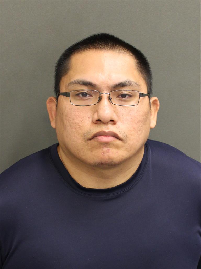  SCOUT MONROE STRIPEDWOLF Photo Image