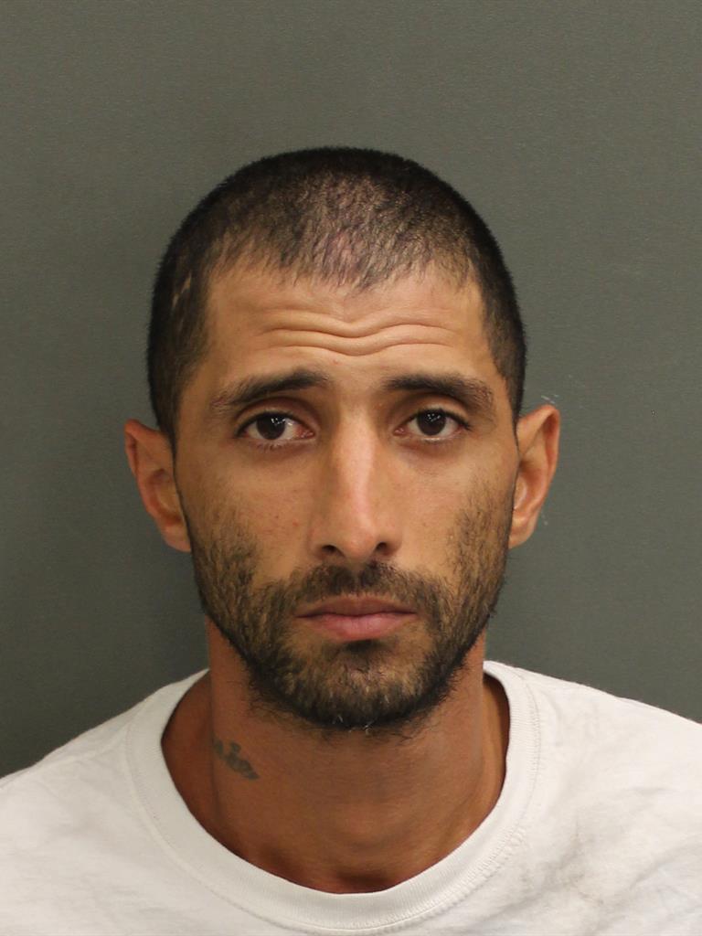  VICTOR M PLACERES Mugshot / County Arrests / Orange County Arrests