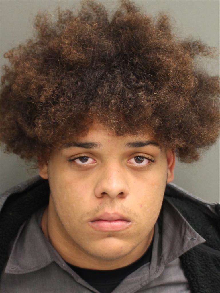  LARRY DON WILLIAMS Mugshot / County Arrests / Orange County Arrests