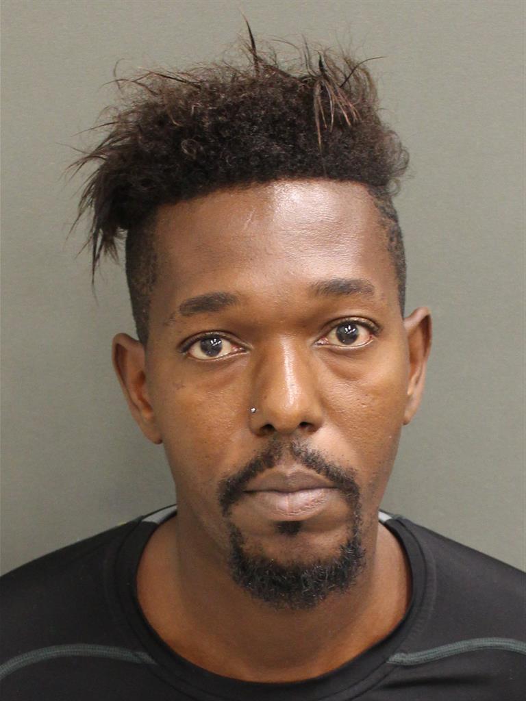  ERROL GLEN NETTLES Mugshot / County Arrests / Orange County Arrests
