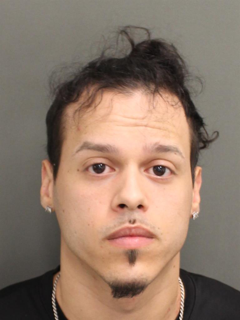  LUIS RYU CARABALLO Mugshot / County Arrests / Orange County Arrests