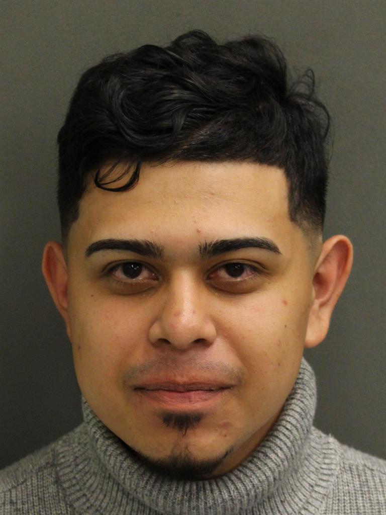  ROMAN PINEDA Mugshot / County Arrests / Orange County Arrests