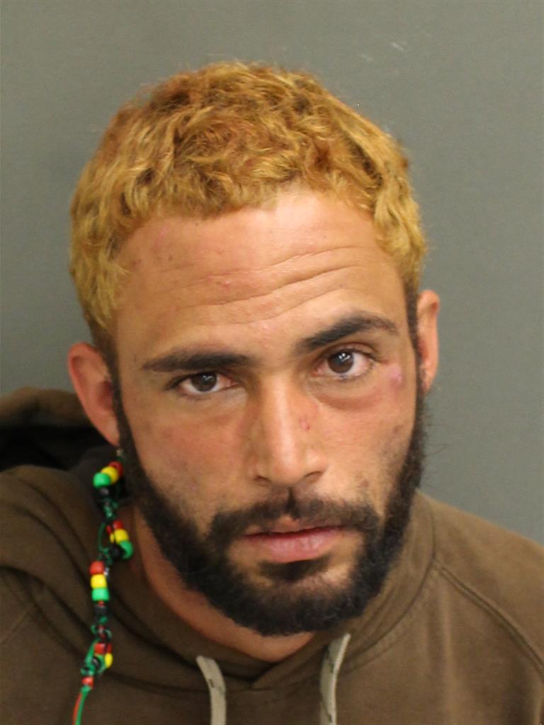  ANGEL CAPELES Mugshot / County Arrests / Orange County Arrests