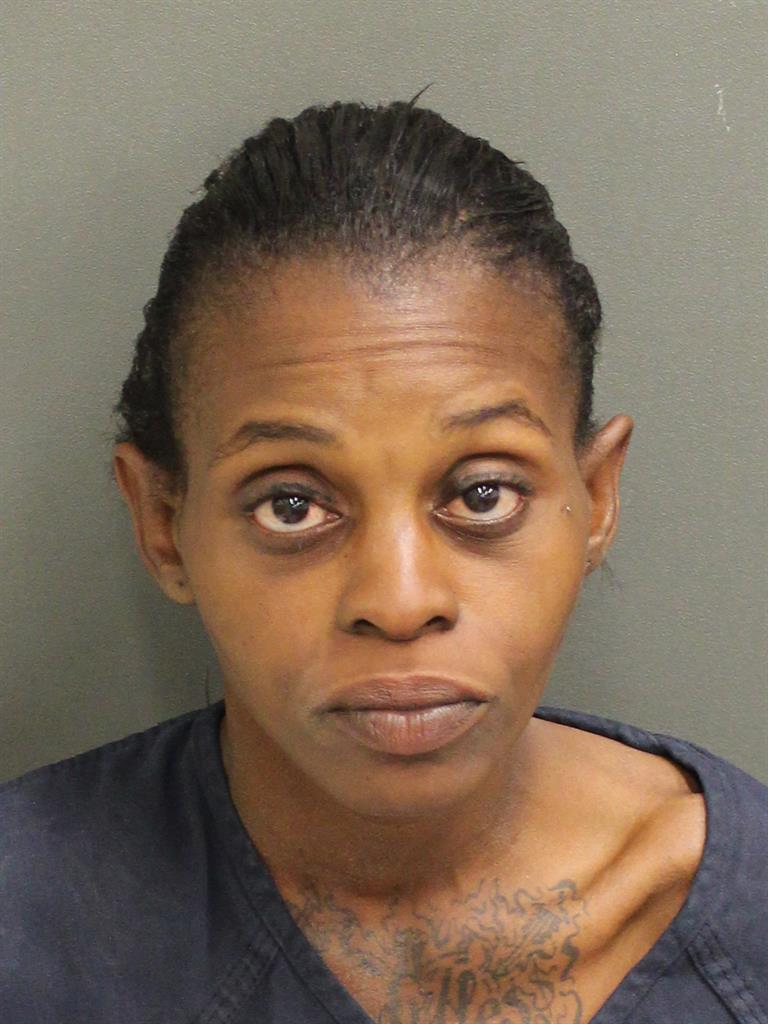  NINA LUBIN Mugshot / County Arrests / Orange County Arrests