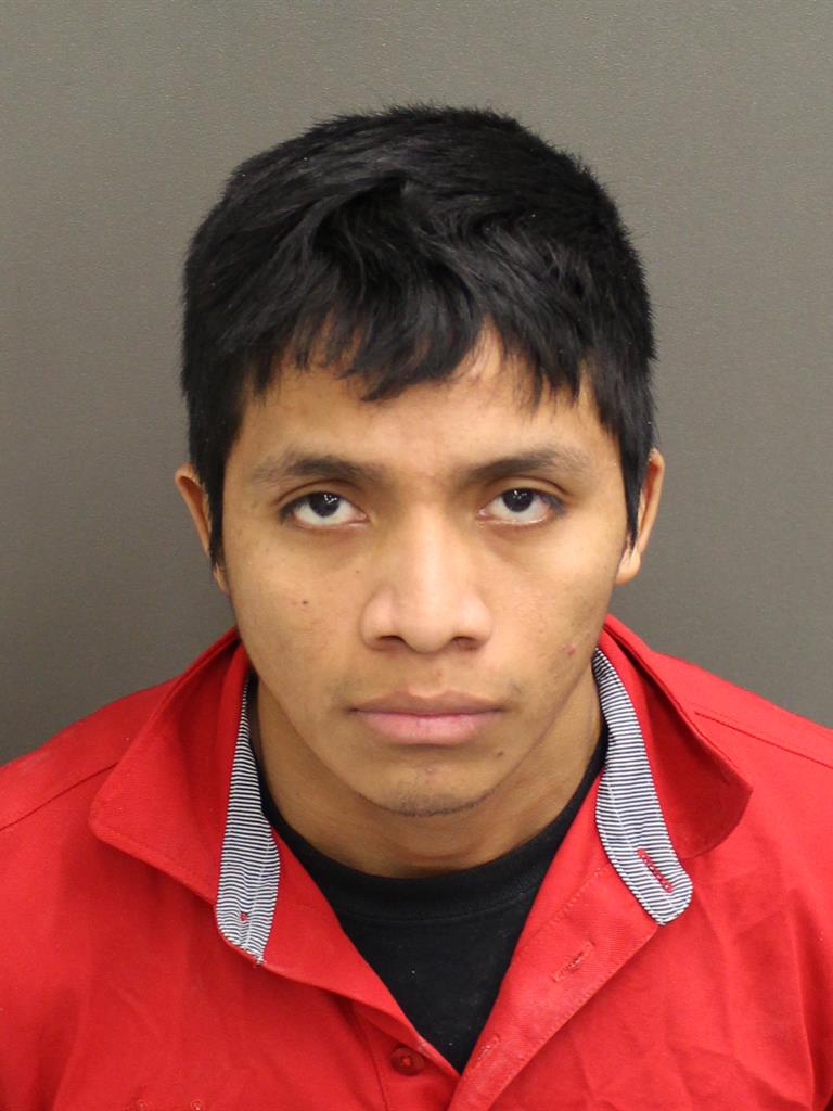  WILSON DOMINGOGONZALEZ Mugshot / County Arrests / Orange County Arrests