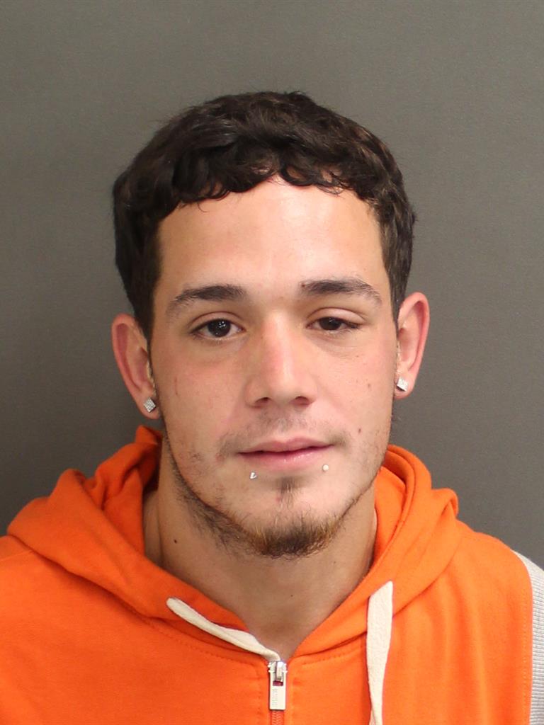 EDGAR FLORES Mugshot / County Arrests / Orange County Arrests