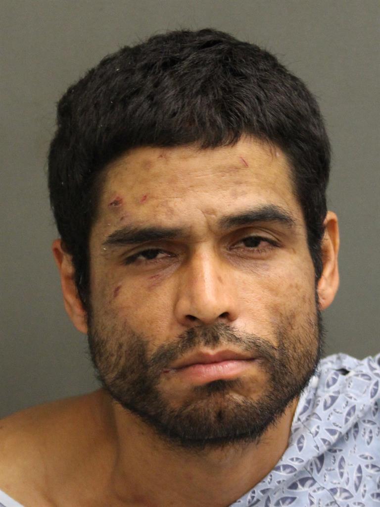  ANDRES JAVIER ACEVEDOVEGA Mugshot / County Arrests / Orange County Arrests