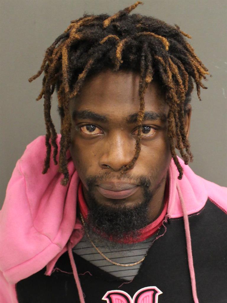  DANA  II BROWN Photo Image