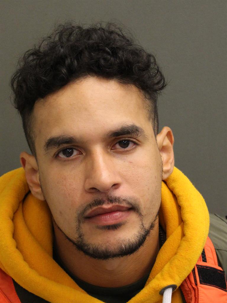  JORGE RAUL SIERRA Mugshot / County Arrests / Orange County Arrests