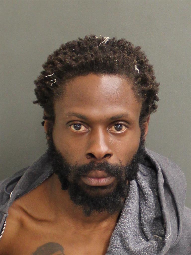  JAMES  JR MCKINZIE Mugshot / County Arrests / Orange County Arrests