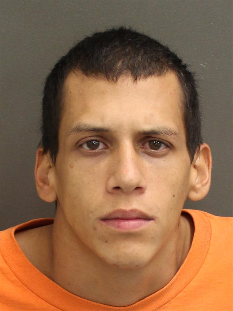  FABIAN ANDRES SAEZ Mugshot / County Arrests / Orange County Arrests