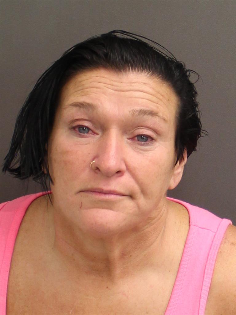  MARNIE L SANTUCCI Mugshot / County Arrests / Orange County Arrests