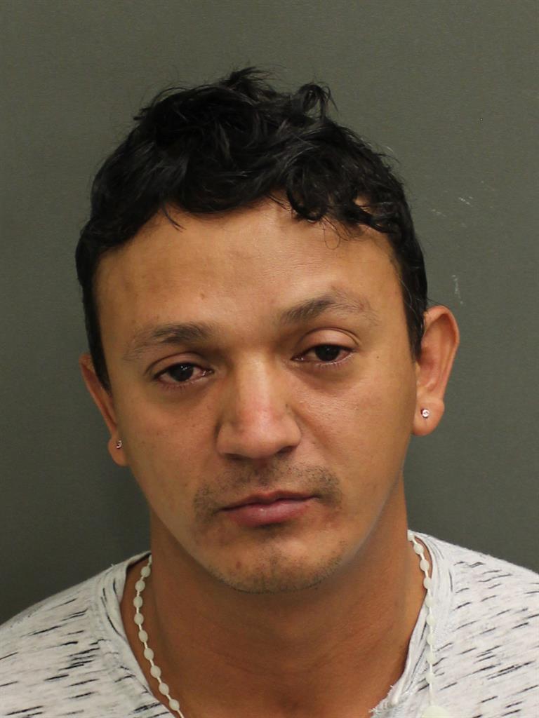  CARLOS FRANCISCO LAGOS Mugshot / County Arrests / Orange County Arrests