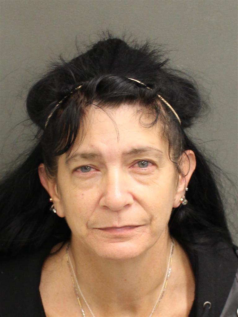  LISA ANN CATRON Mugshot / County Arrests / Orange County Arrests
