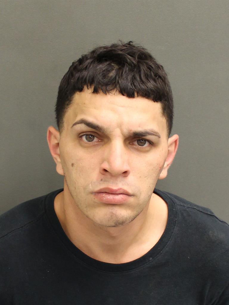  LUIS ARIEL BORGES DELGADO Mugshot / County Arrests / Orange County Arrests