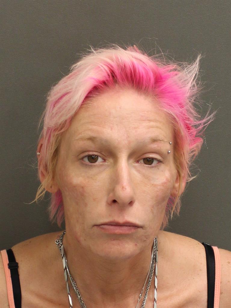  NICOLE LEIGH BLANKENSHIP Mugshot / County Arrests / Orange County Arrests
