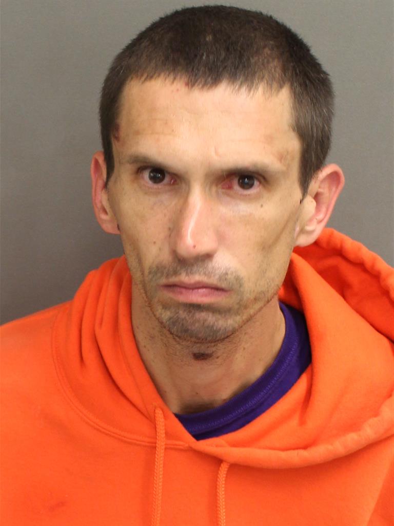  EDWARD HENRY PALWICK Mugshot / County Arrests / Orange County Arrests