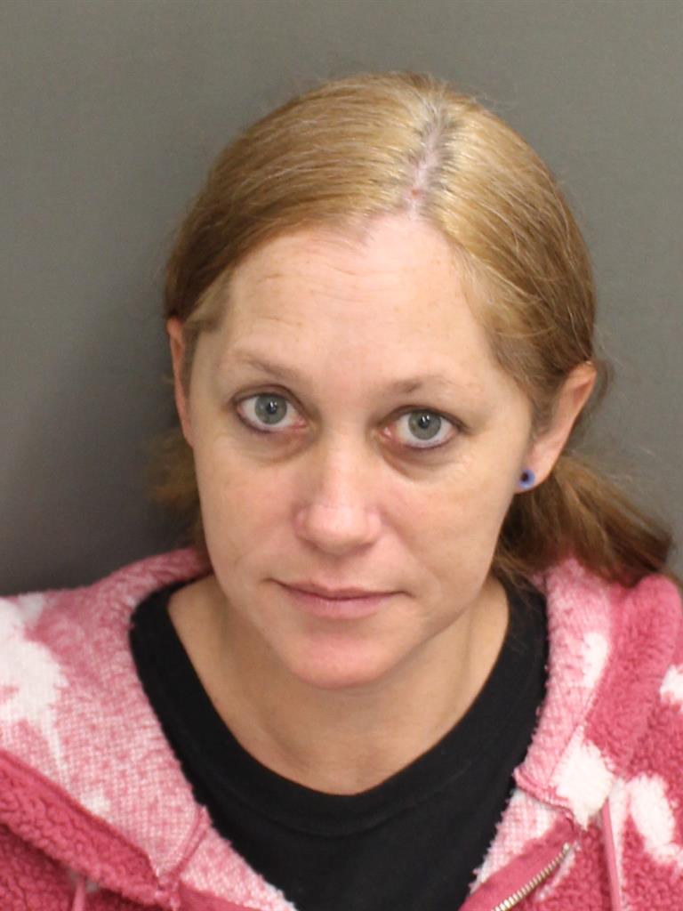  CAROL JEAN WILLIAMS Mugshot / County Arrests / Orange County Arrests