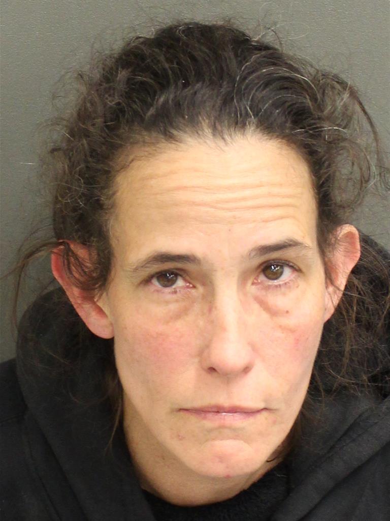  JILL WILLIAMS FEINGOLD Mugshot / County Arrests / Orange County Arrests