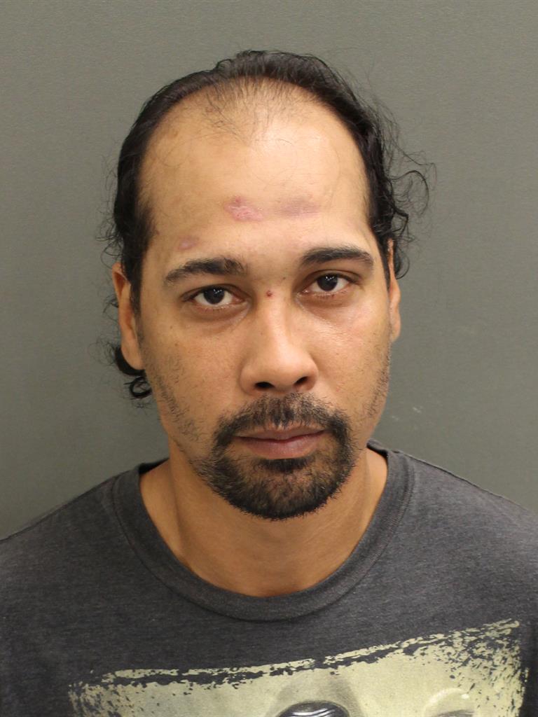  RAYMOND L CASTILLO Mugshot / County Arrests / Orange County Arrests