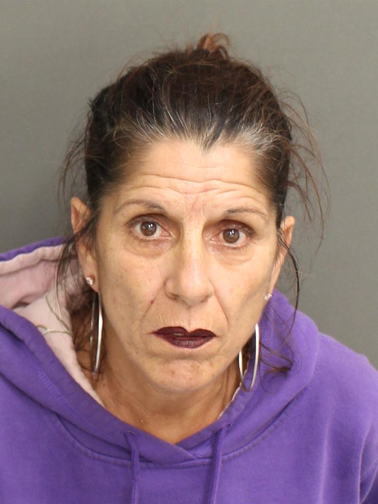  DEBORAH KLEIN Mugshot / County Arrests / Orange County Arrests
