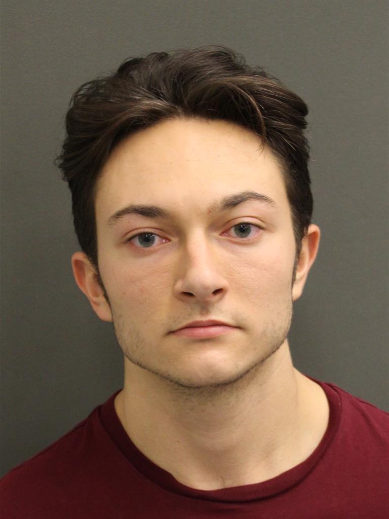  THEODORE EMORY TIPPIN Mugshot / County Arrests / Orange County Arrests