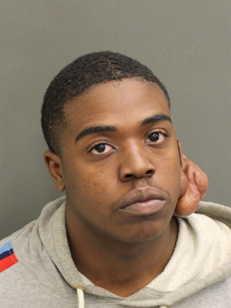  DARIAN JAMAL FLEMING Photo Image