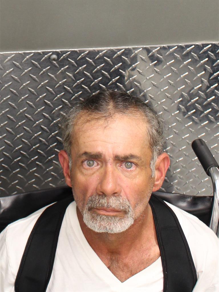  HECTOR LUIS GONZALEZROMAN Mugshot / County Arrests / Orange County Arrests
