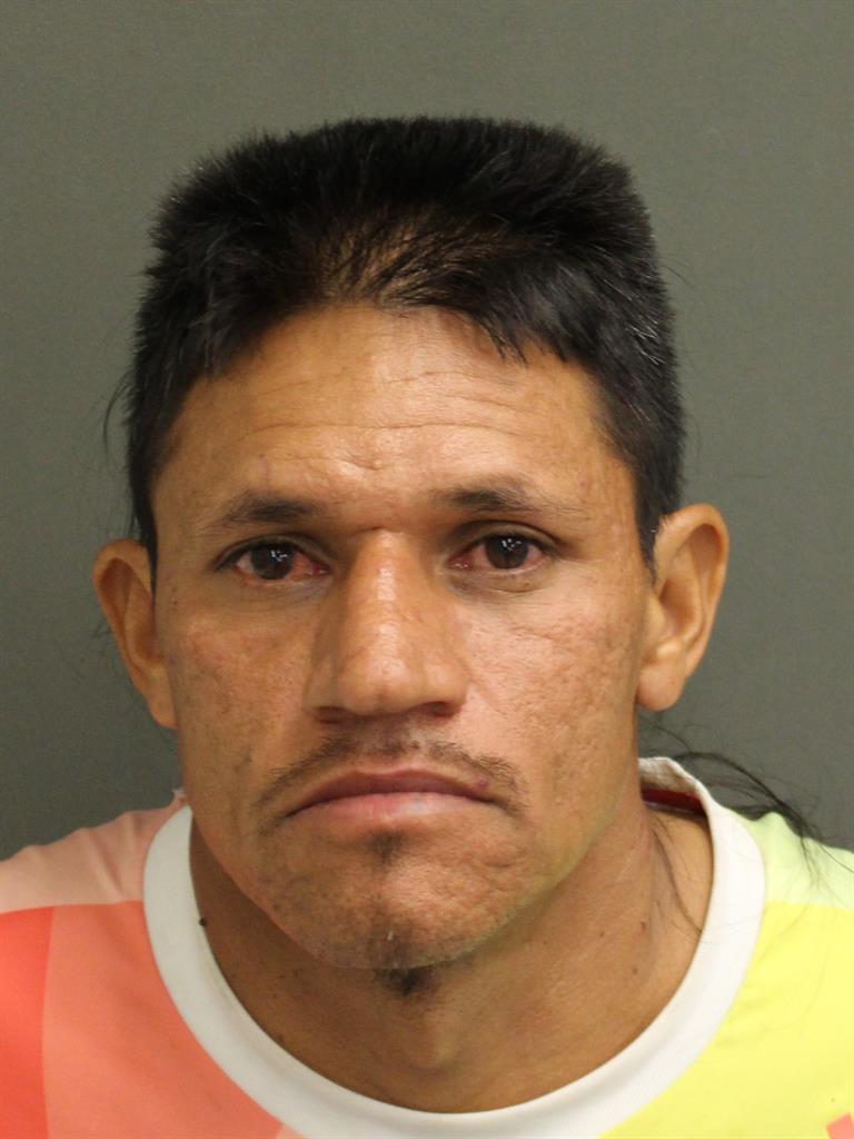  SANTOS BERLIN SALINAS DUARTE Mugshot / County Arrests / Orange County Arrests