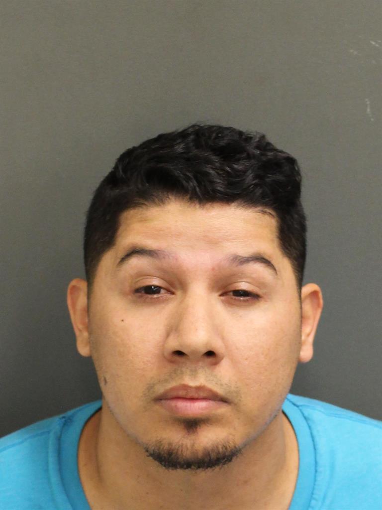  WILLIAM FLECHA Mugshot / County Arrests / Orange County Arrests