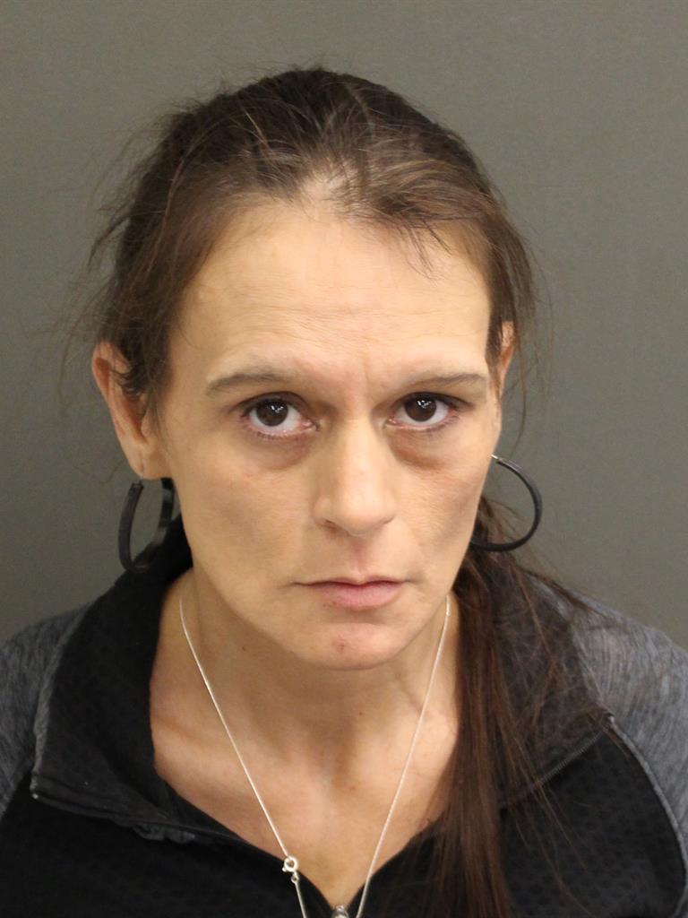  LISA MARIE FRY Mugshot / County Arrests / Orange County Arrests